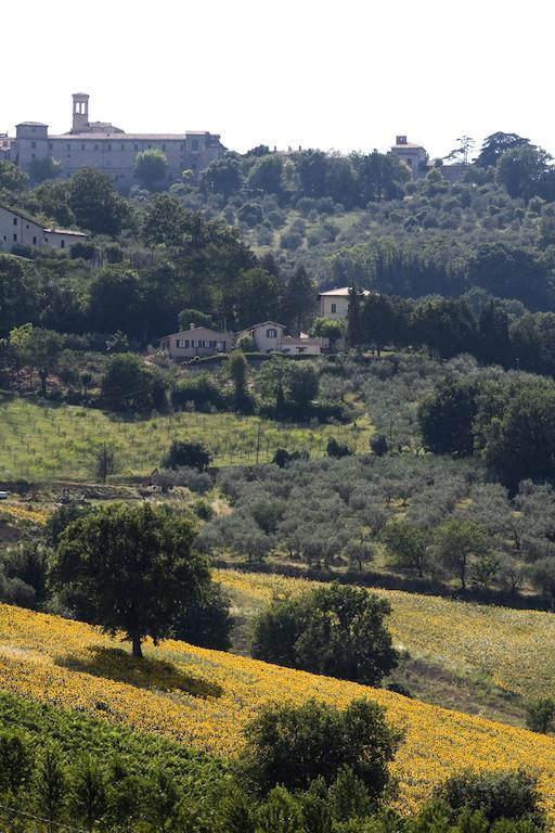 Agriturismo Il Girasole Montefalco Zewnętrze zdjęcie