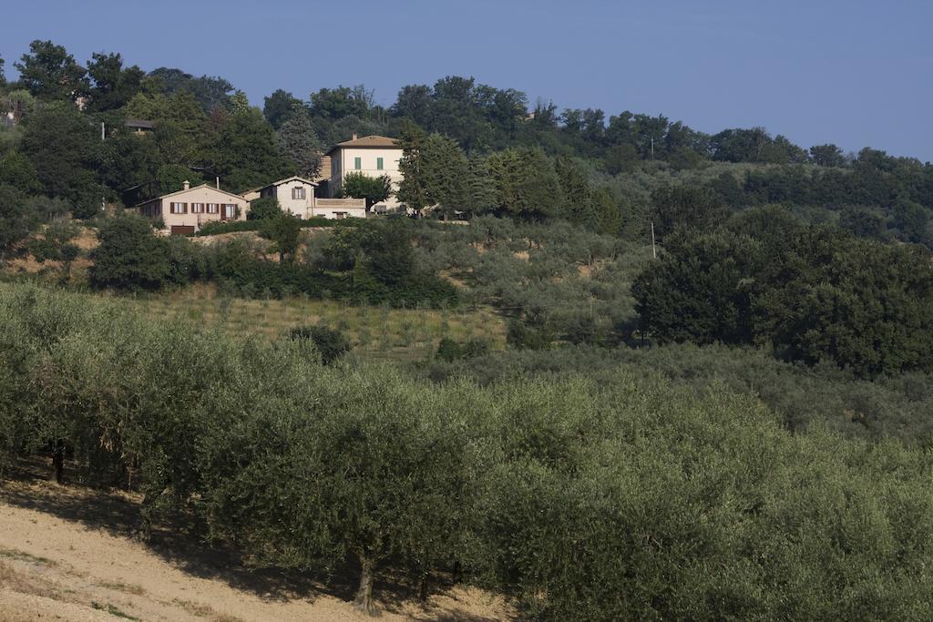 Agriturismo Il Girasole Montefalco Zewnętrze zdjęcie