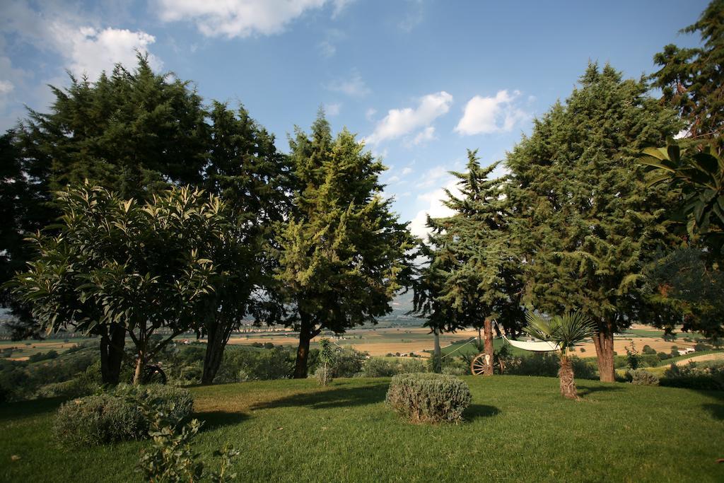 Agriturismo Il Girasole Montefalco Pokój zdjęcie