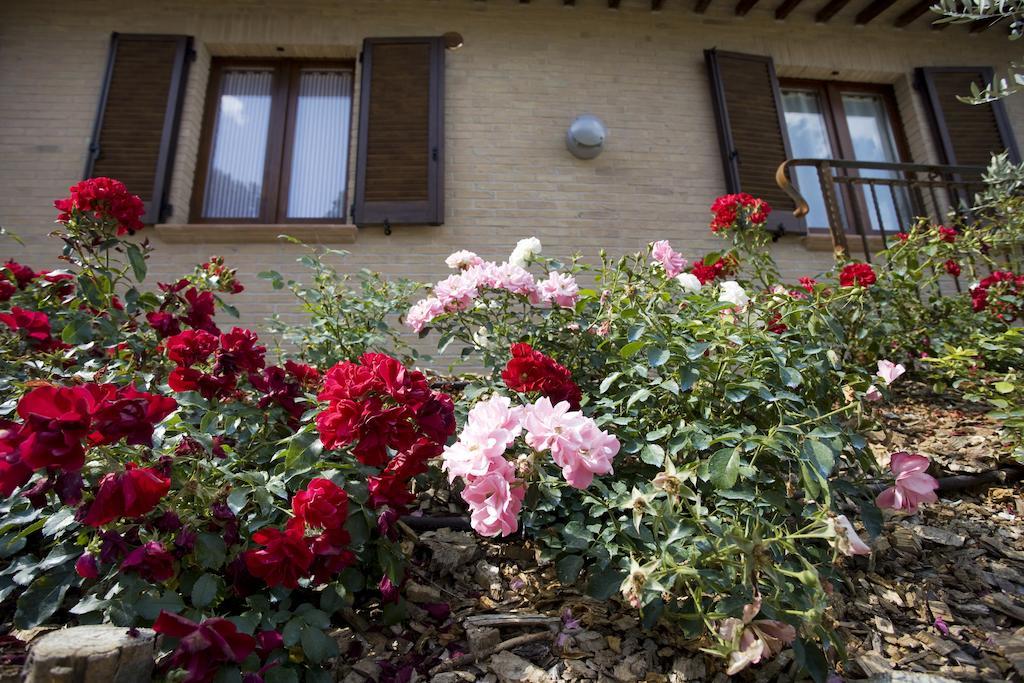 Agriturismo Il Girasole Montefalco Pokój zdjęcie