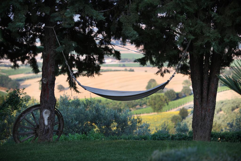 Agriturismo Il Girasole Montefalco Zewnętrze zdjęcie