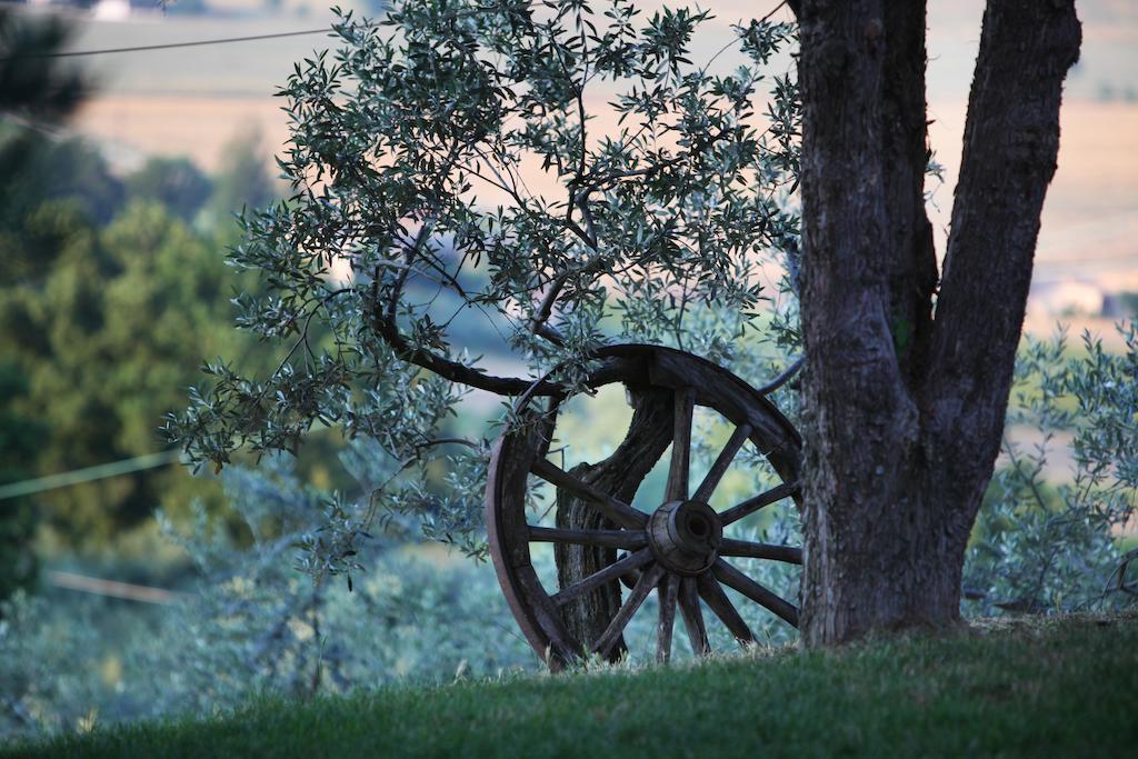 Agriturismo Il Girasole Montefalco Zewnętrze zdjęcie