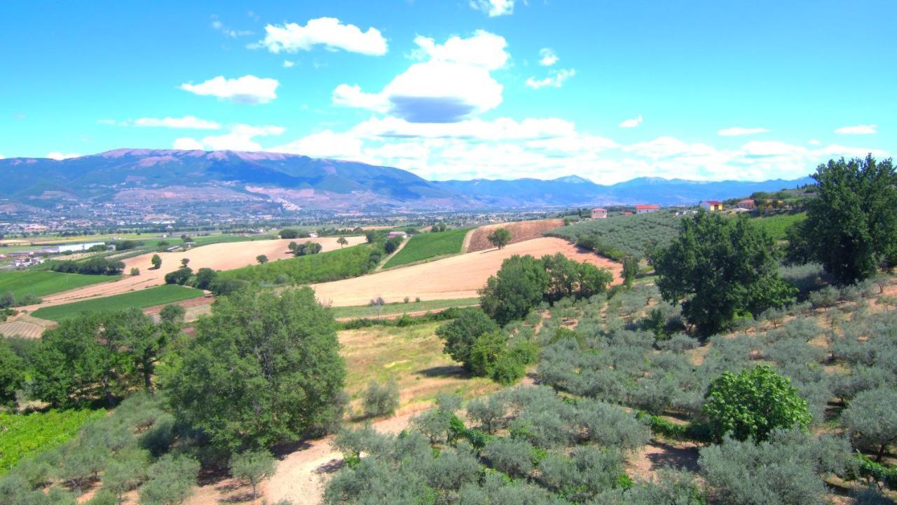 Agriturismo Il Girasole Montefalco Zewnętrze zdjęcie